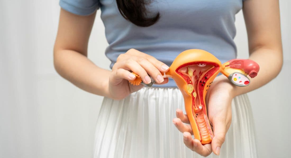 Specialist Vulvar Health and Lichen Sclerosus Assessment at Gerka Clinic Dublin